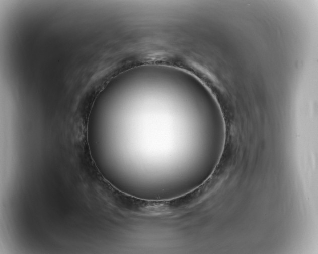 X0000099991447200805231443