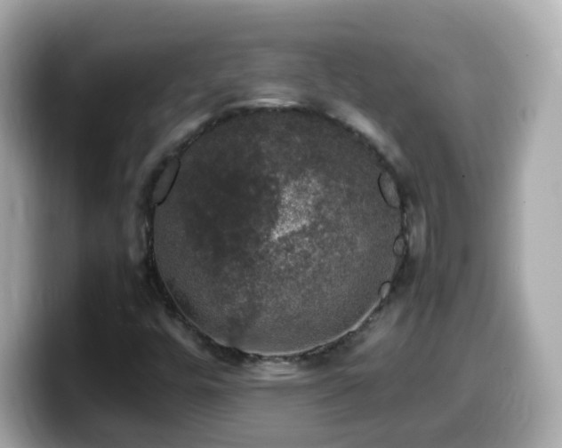 X0000099991448200805231443