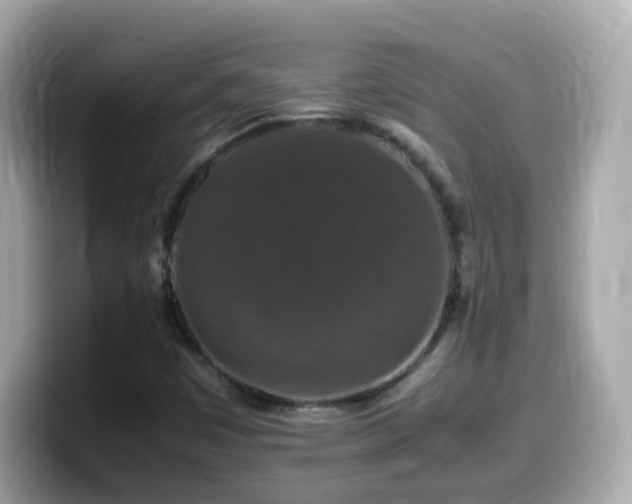 X0000099991449200805231443