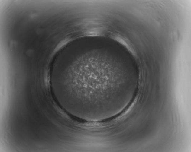 X0000099991450200805231443