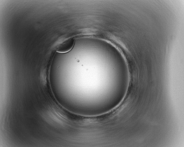 X0000099991451200805231443