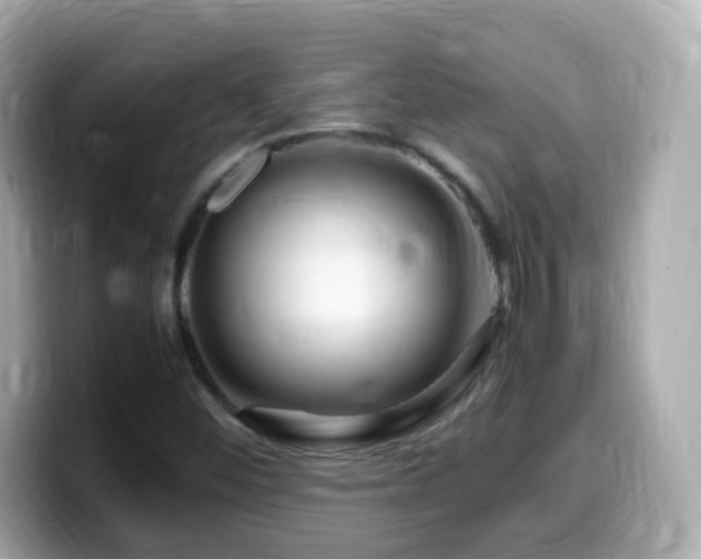 X0000099991452200805231443