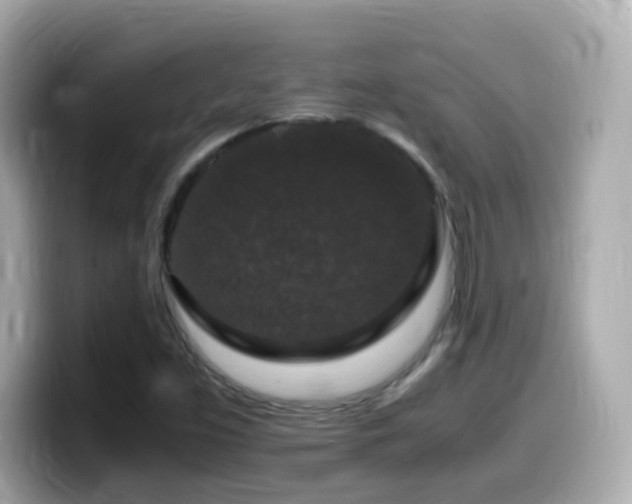 X0000099991453200805231443