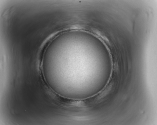 X0000099991454200805231443