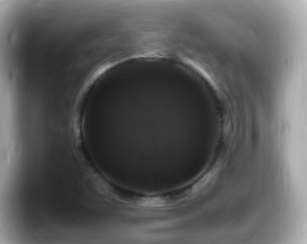X0000099991455200805231443