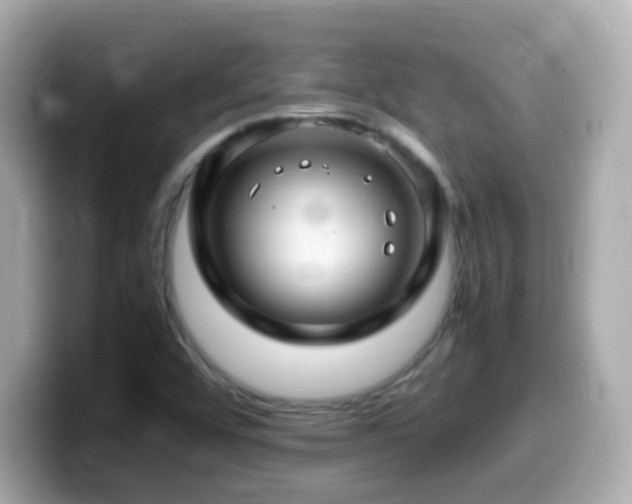 X0000099991456200805231443