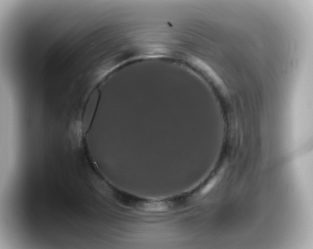 X0000099991457200805231443