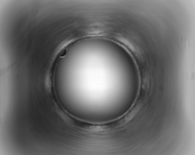 X0000099991458200805231443