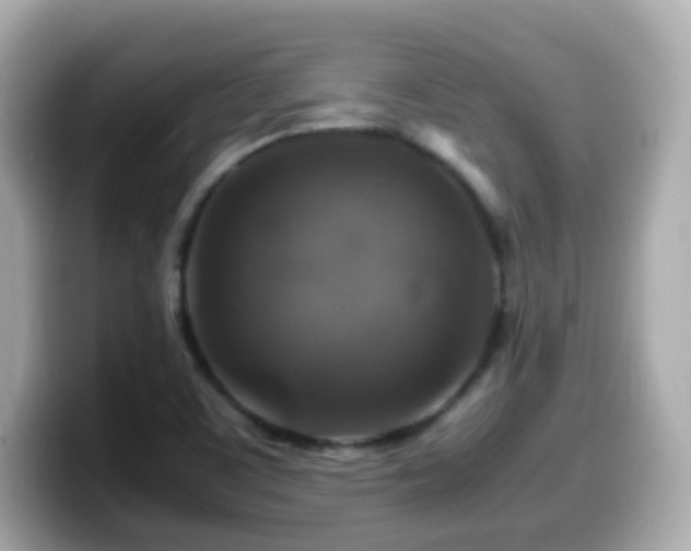 X0000099991459200805231443