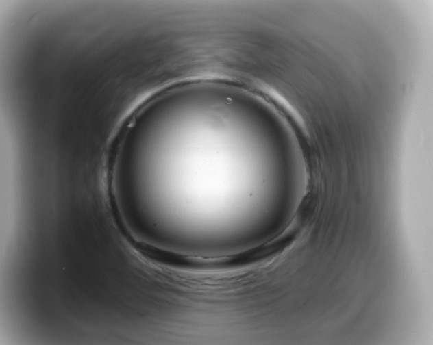 X0000099991460200805231443