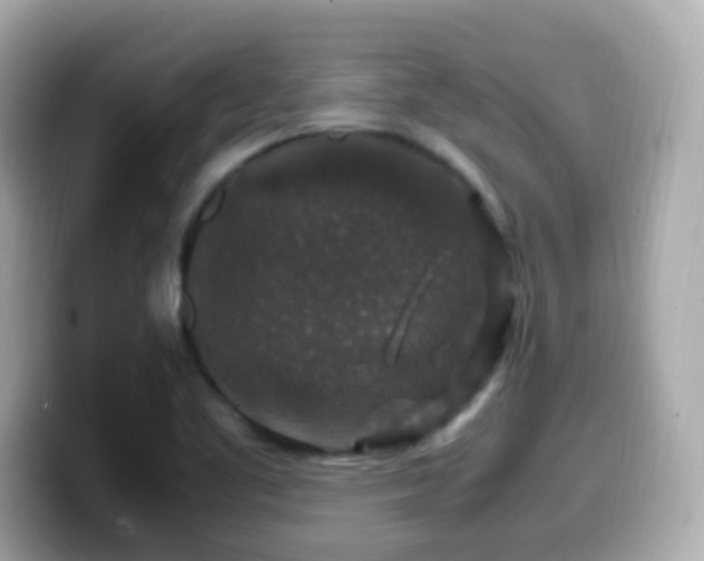 X0000099991461200805231443