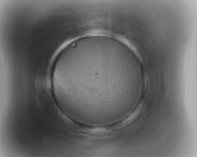 X0000099991462200805231443