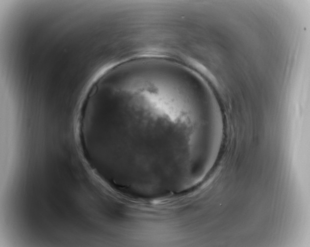 X0000099991463200805231443
