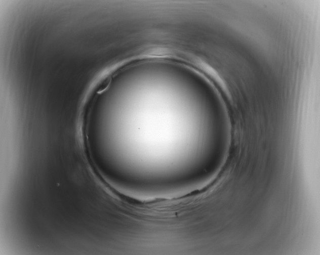 X0000099991464200805231443
