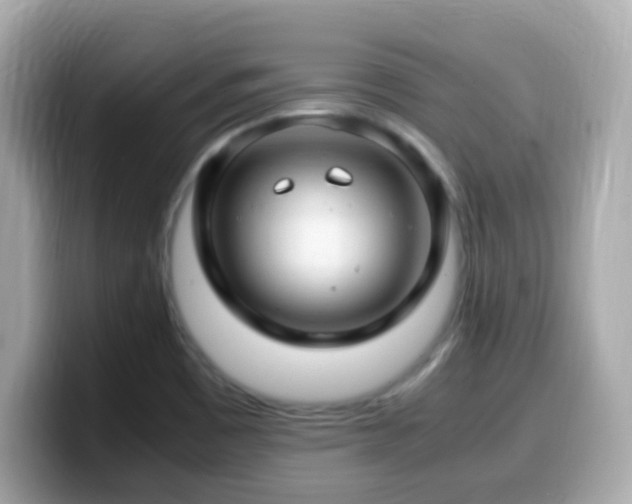 X0000099991465200805231443