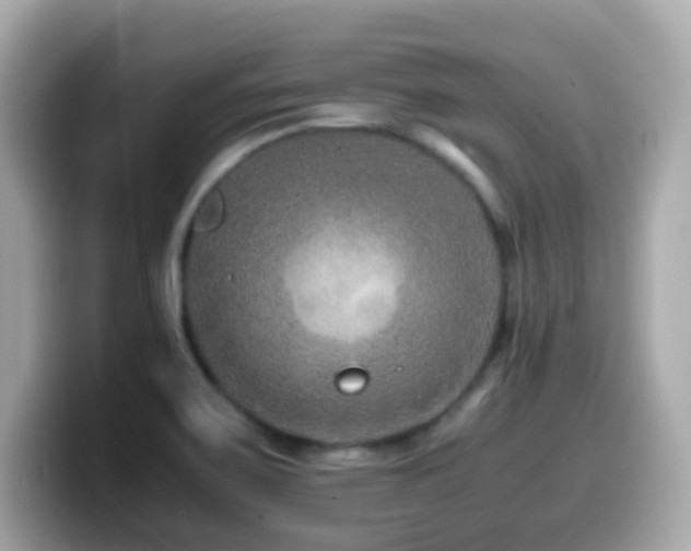 X0000099991467200805231443