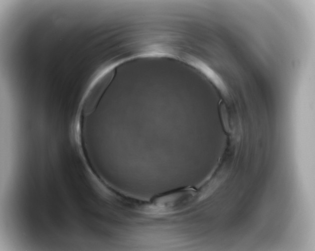 X0000099991468200805231443