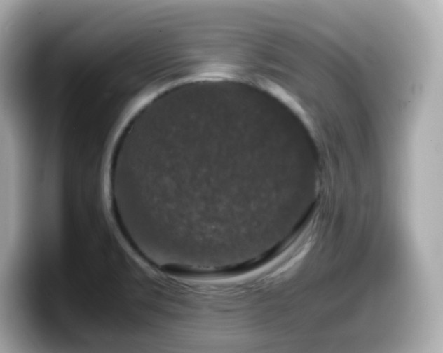 X0000099991469200805231443