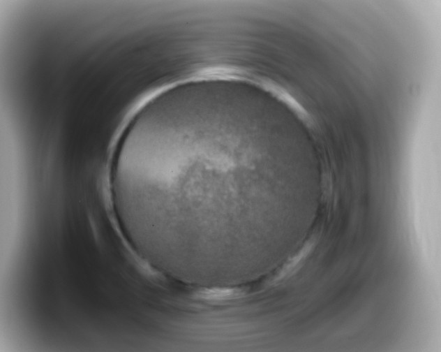 X0000099991470200805231443