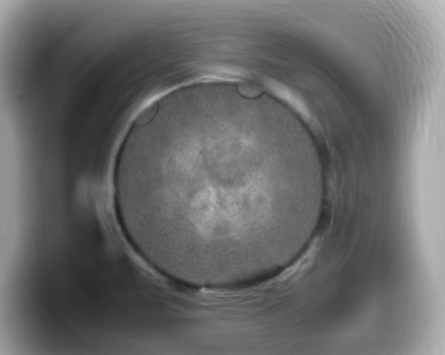 X0000099991471200805231443