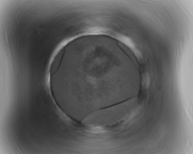 X0000099991472200805231443