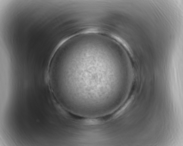 X0000099991473200805231443