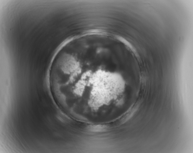 X0000099991474200805231443