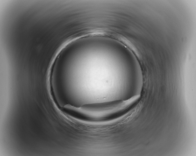 X0000099991475200805231443