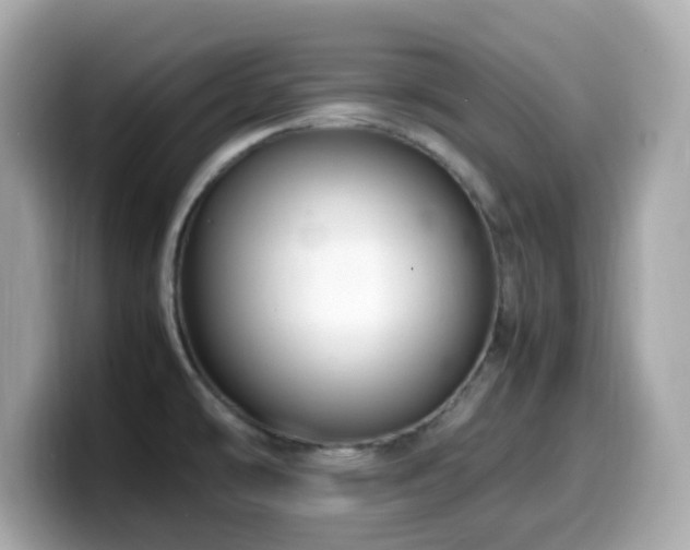 X0000099991478200805231443