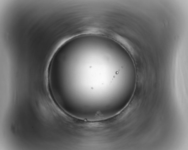X0000099991479200805231442