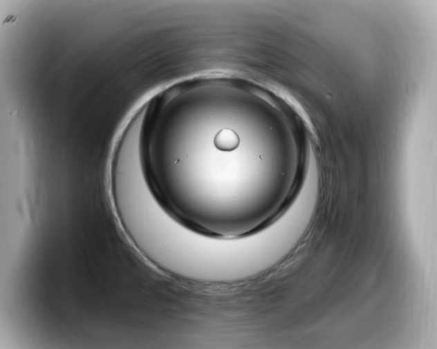 X0000099991480200805231442
