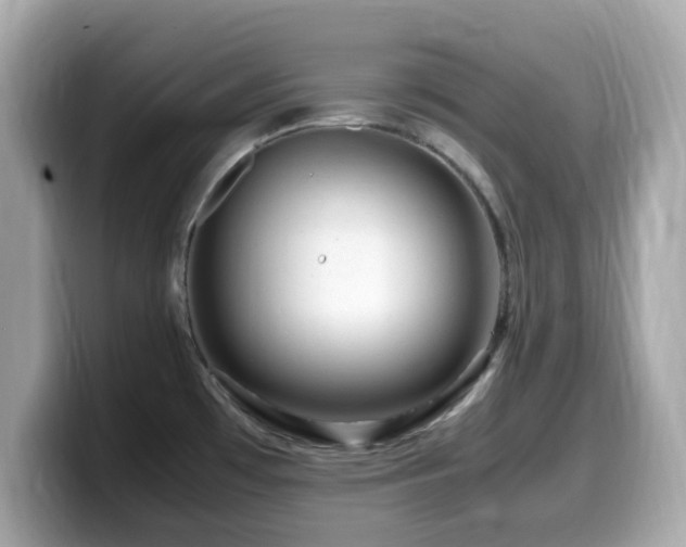X0000099991481200805231442