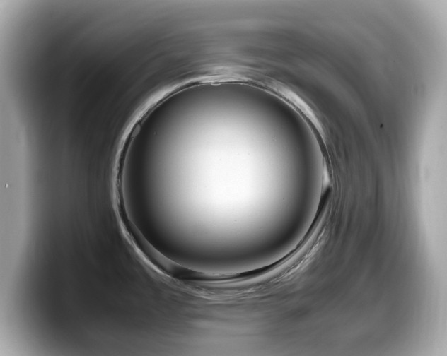 X0000099991485200805231442