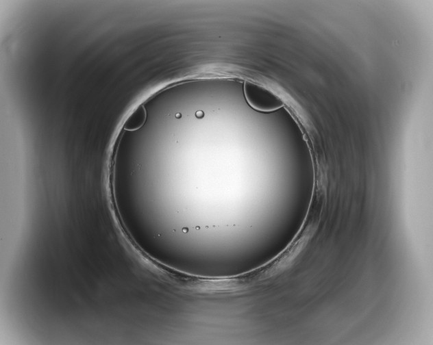 X0000099991486200805231442