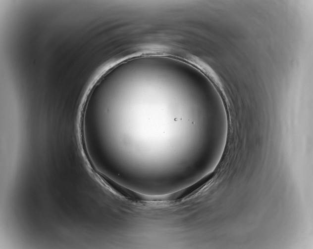 X0000099991488200805231442