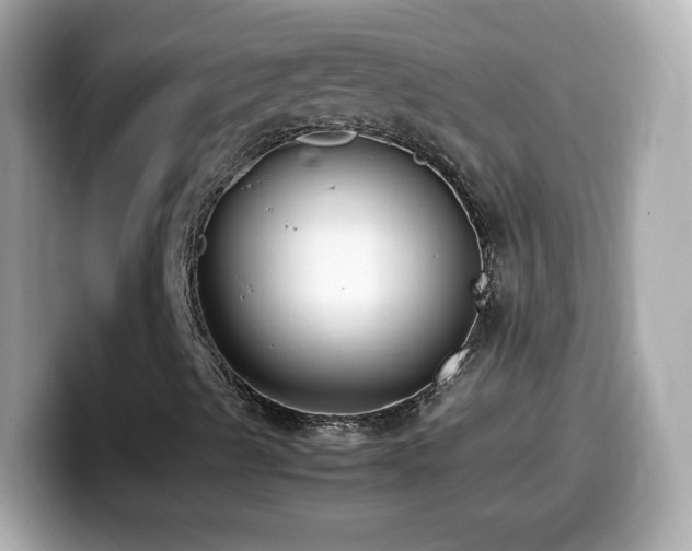 X0000099991489200805231442