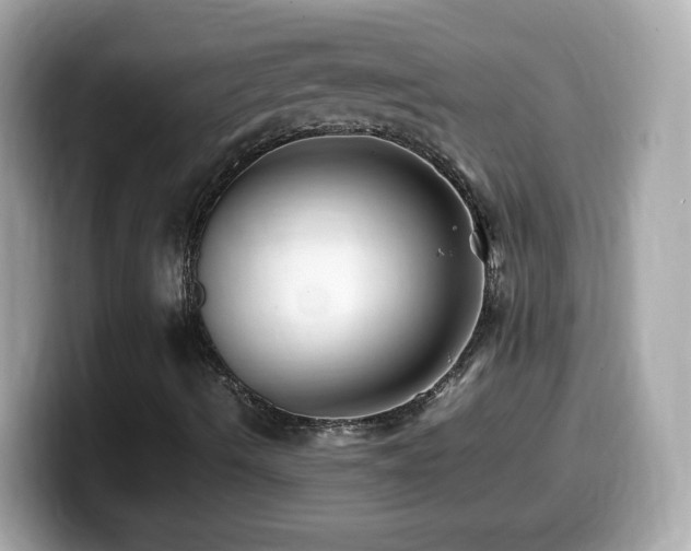 X0000099991490200805231442