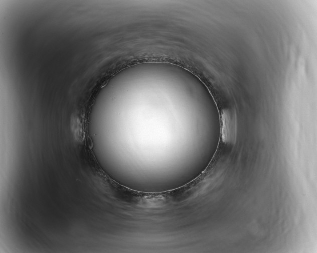 X0000099991491200805231442