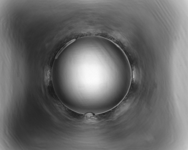 X0000099991492200805231442