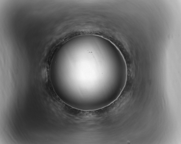 X0000099991493200805231442