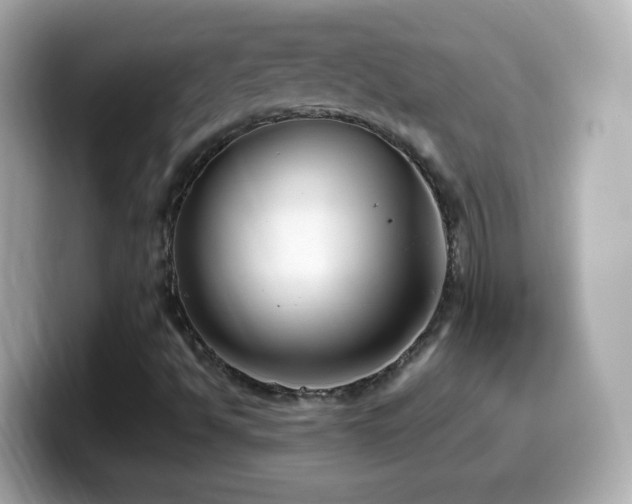 X0000099991494200805231442
