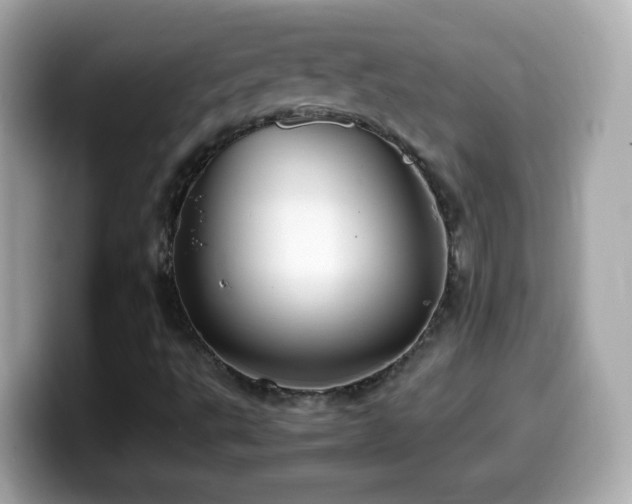 X0000099991495200805231442