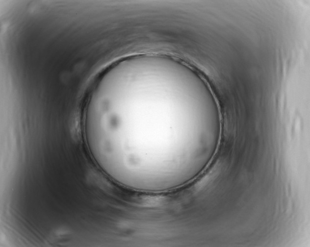 X0000099991498200805231442
