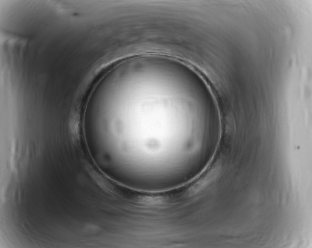 X0000099991499200805231442