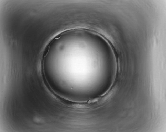 X0000099991500200805231442