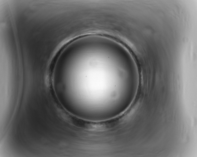 X0000099991501200805231442