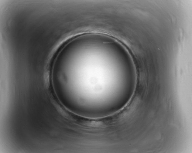 X0000099991503200805231442