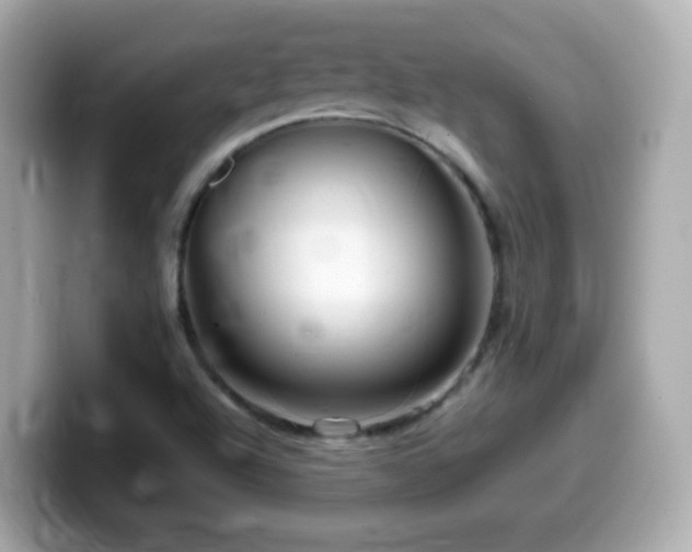 X0000099991504200805231442