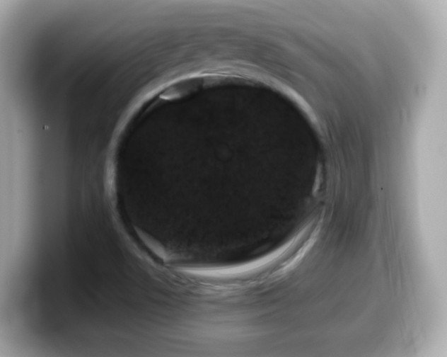 X0000099991506200805231442