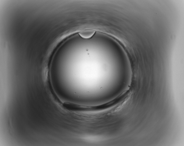 X0000099991507200805231442